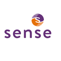 Synnwyr Cyfaill Rhithwir